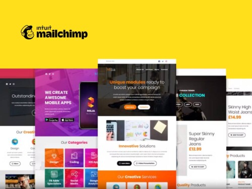 MailChimp Email + CRM Manager